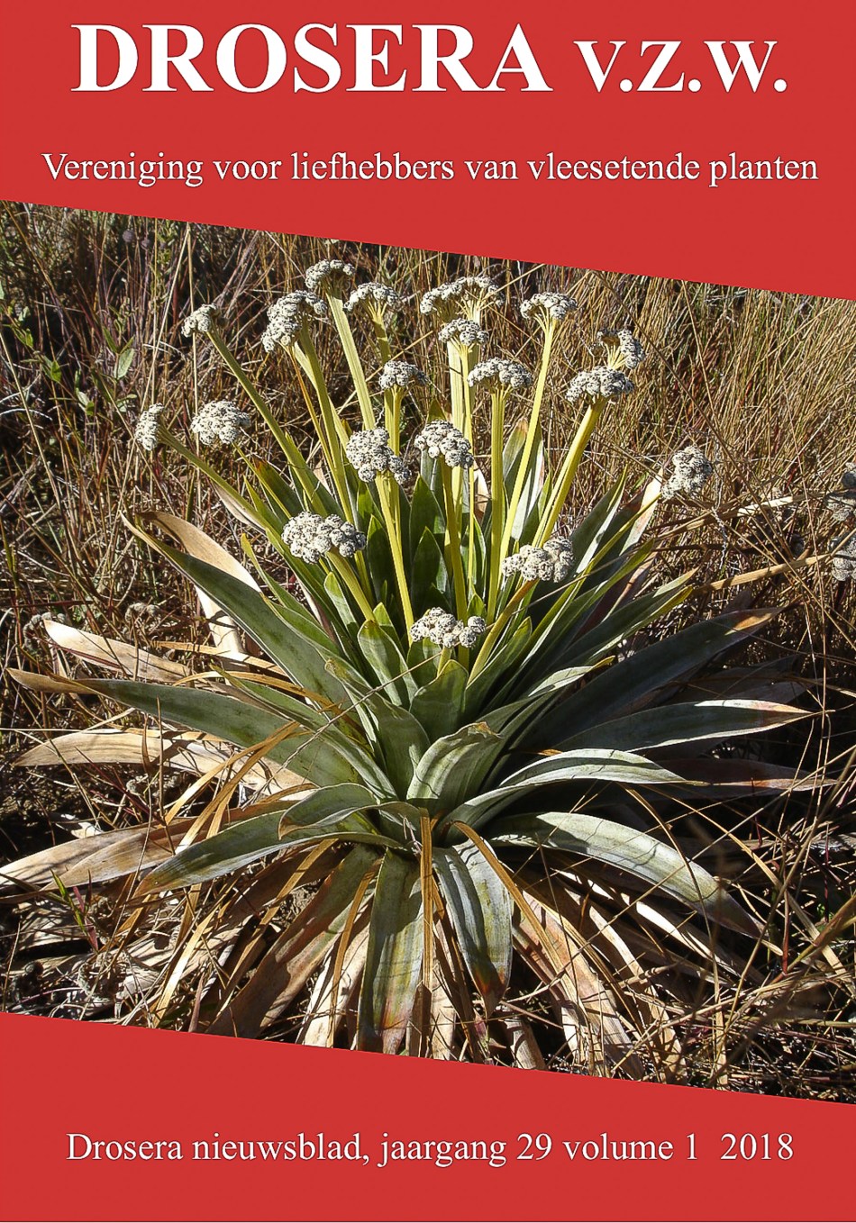 Schermafbeelding 2018-05-06 om 21.25.33